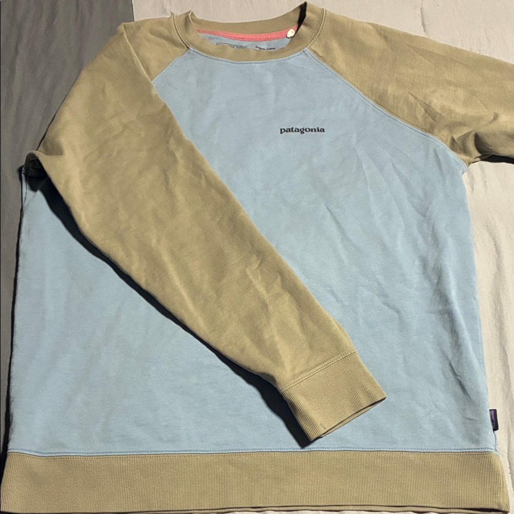 Patagonia Light Blue and Tan Crewneck